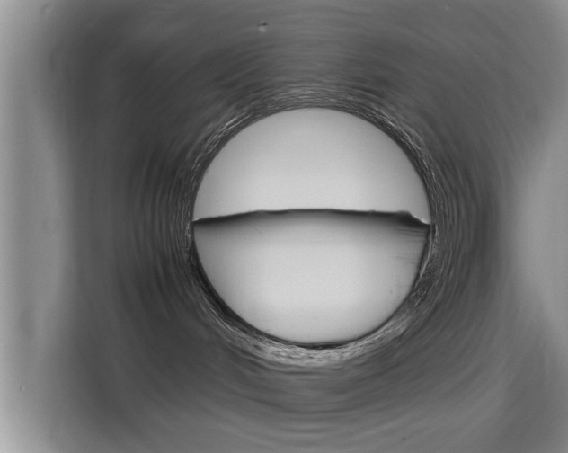 X0000115700048200911191238