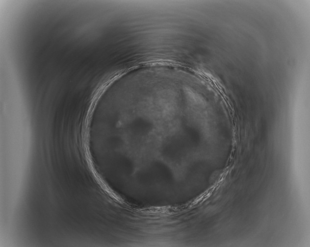 X0000115700049200911191237