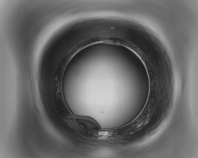 X0000115700050200911191237