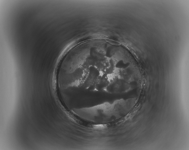 X0000115700053200911191237