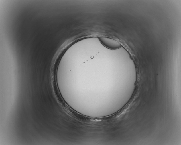 X0000115700055200911191237