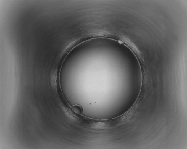 X0000115700058200911191237