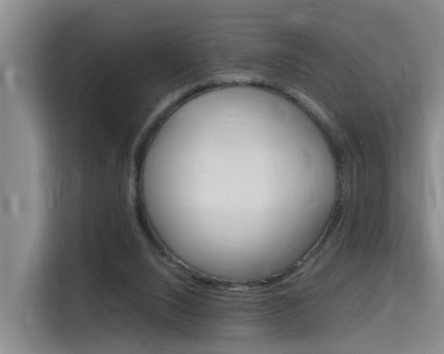 X0000115700064200911191238