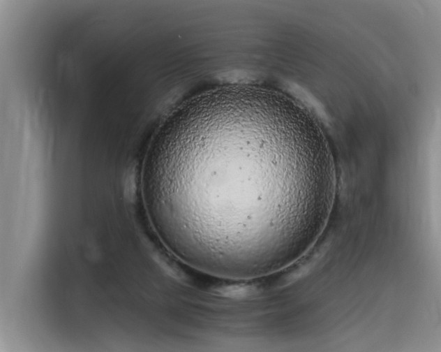 X0000115700065200911191238