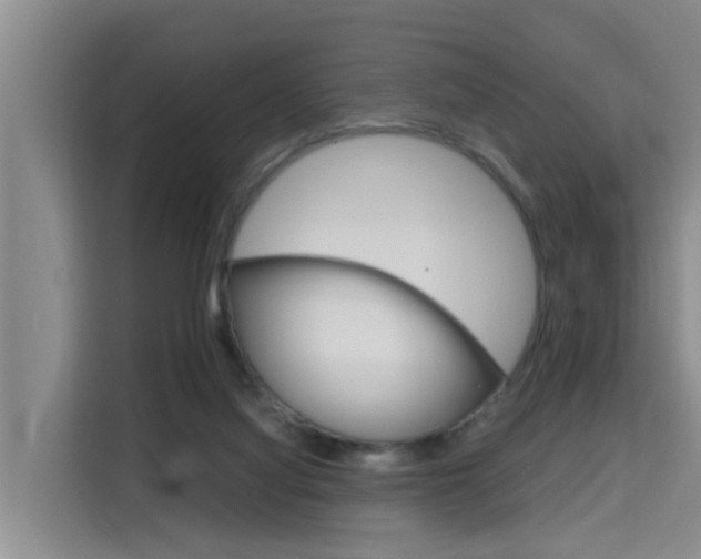 X0000115700068200911191238