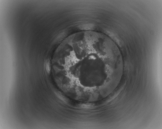 X0000115700069200911191238