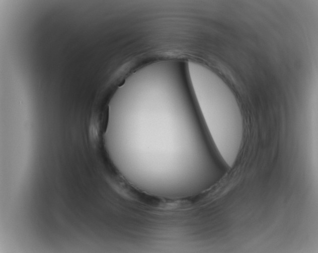 X0000115700072200911191238