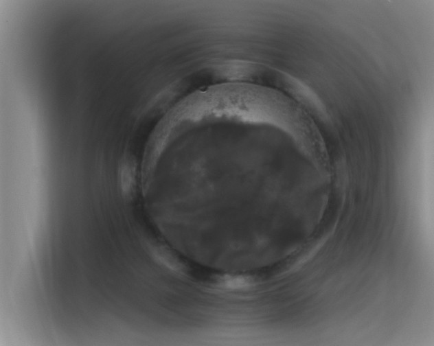 X0000115700073200911191238