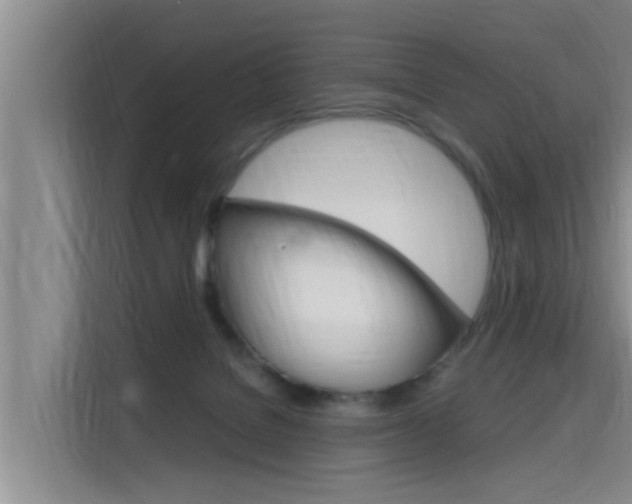 X0000115700076200911191238