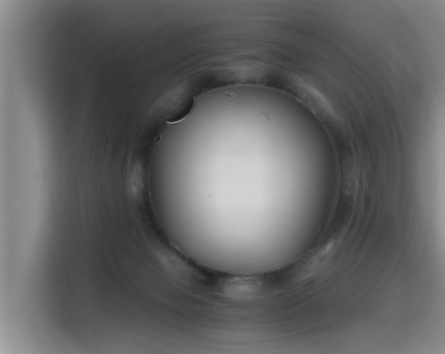 X0000115700077200911191238