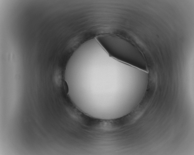 X0000115700080200911191238