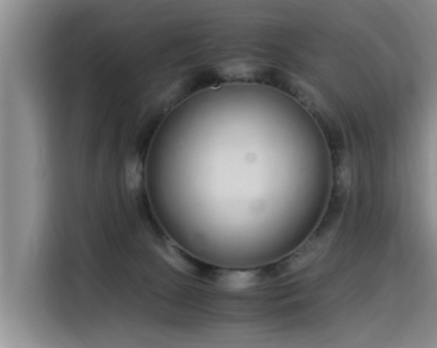 X0000115700081200911191238