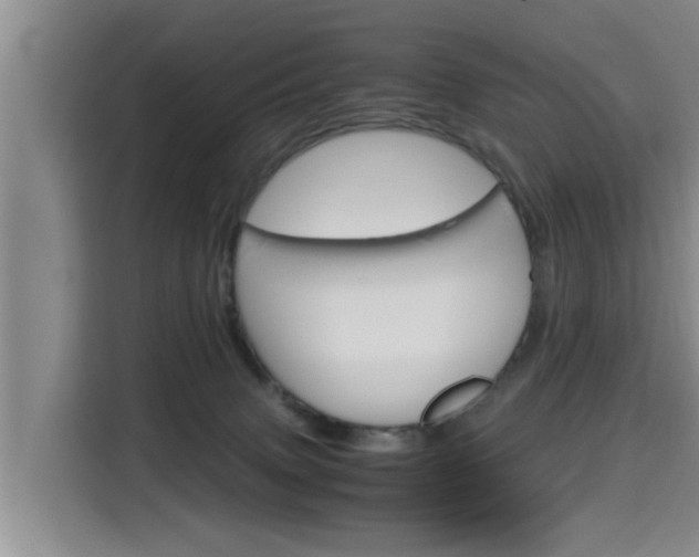 X0000115700083200911191238