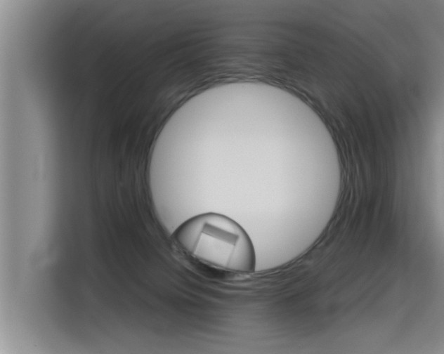 X0000115700084200911191238