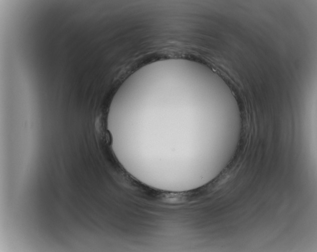 X0000115700088200911191238