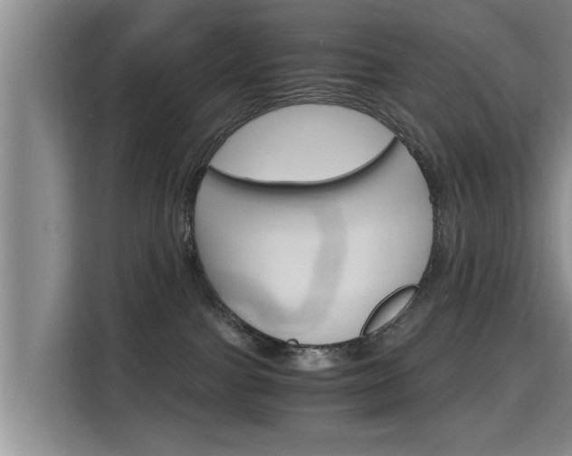 X0000115700091200911191238