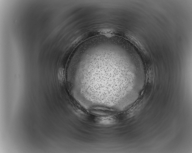 X0000115700093200911191238