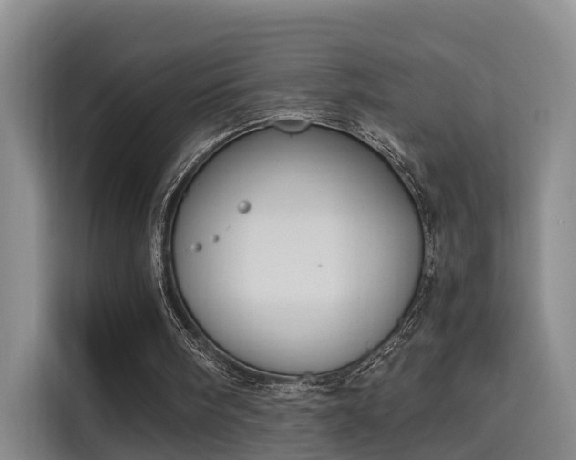 X0000115700098200911191237