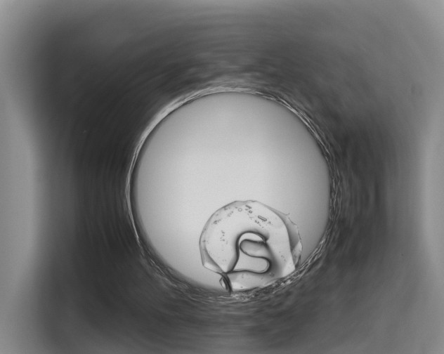 X0000115700100200911191237