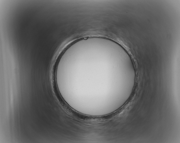 X0000115700103200911191237