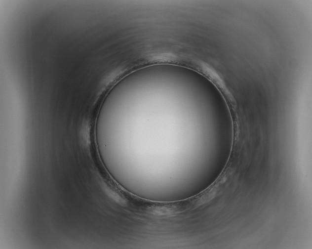 X0000115700106200911191237