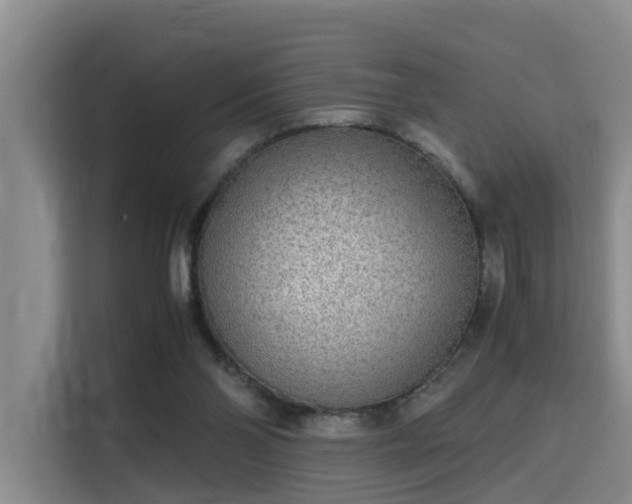 X0000115700110200911191237