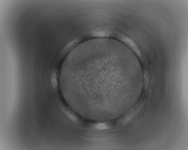 X0000115700114200911191237