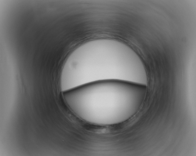 X0000115700116200911191237