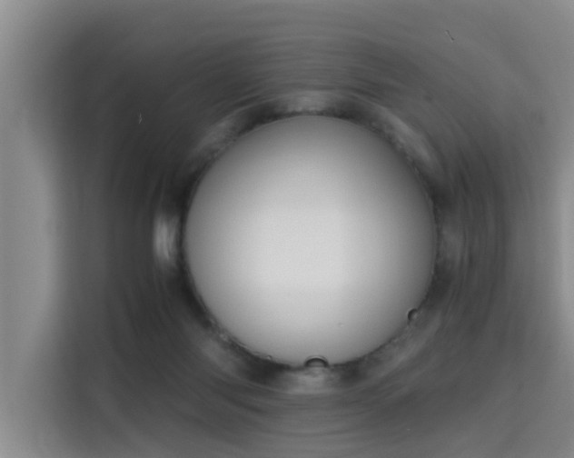 X0000115700118200911191237