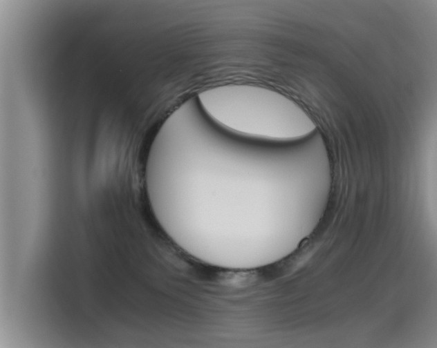 X0000115700135200911191237