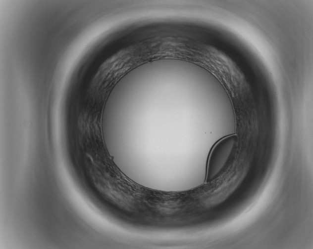 X0000115700142200911191237