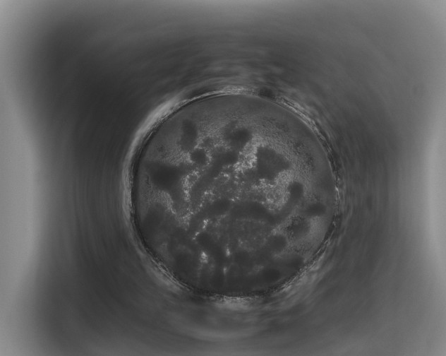 X0000115700149200911191236