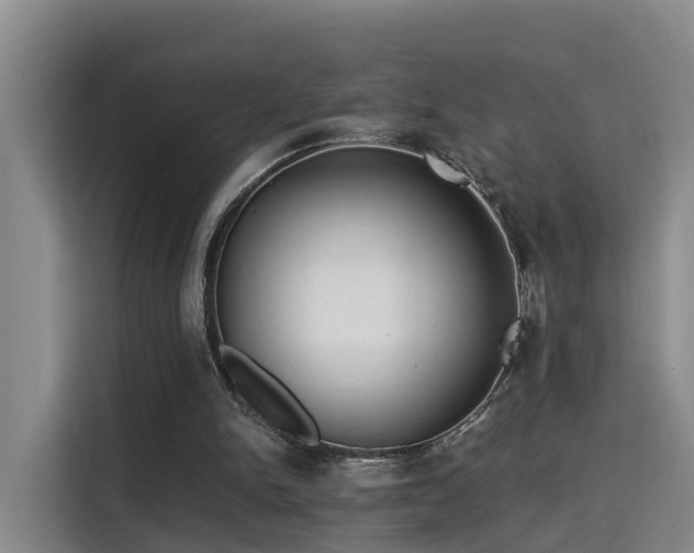 X0000115700150200911191236