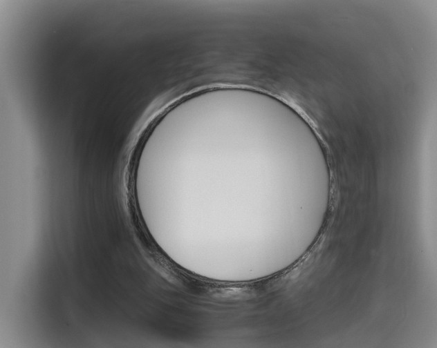 X0000115700151200911191236