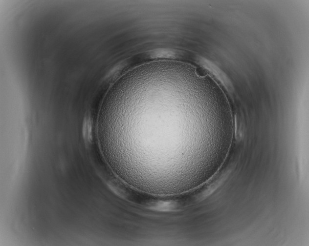 X0000115700157200911191236