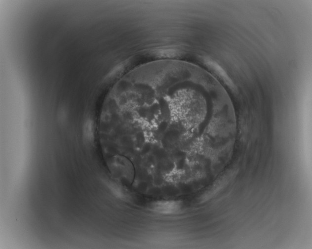 X0000115700161200911191236