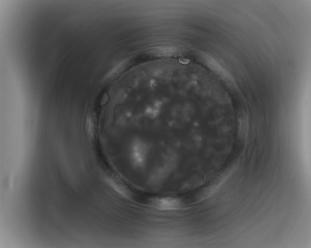 X0000115700165200911191236