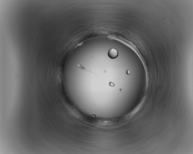 X0000115700174200911191236