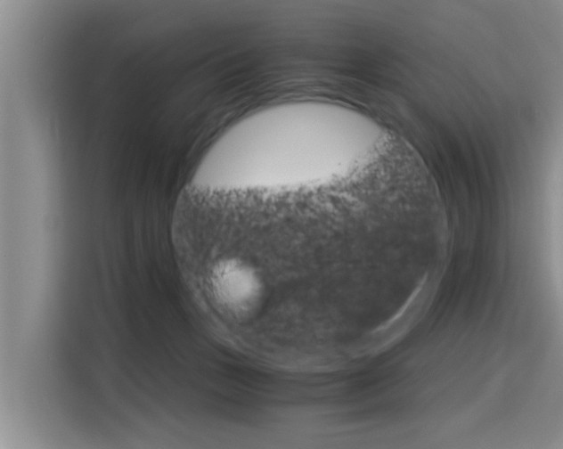 X0000115700175200911191236