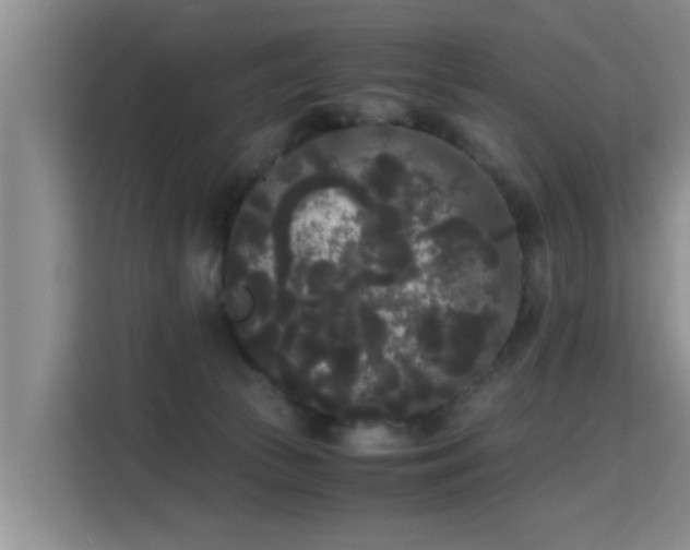 X0000115700177200911191237