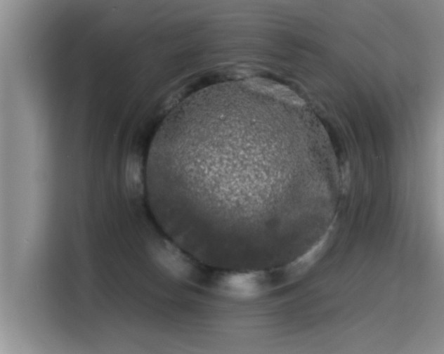 X0000115700178200911191237