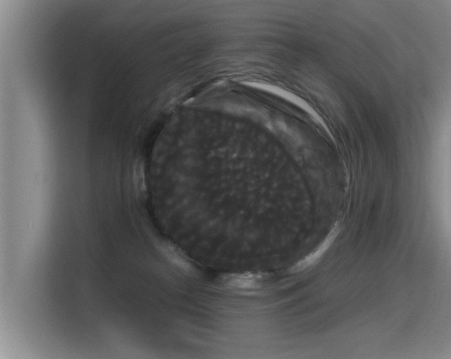 X0000115700182200911191237