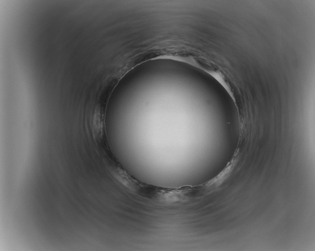 X0000115700186200911191237