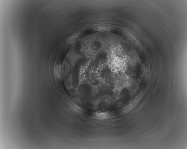 X0000115700189200911191237