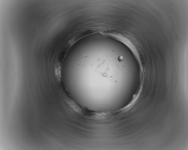 X0000115700190200911191237