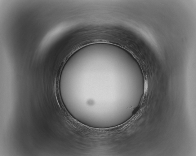 X0000115700195200911191236