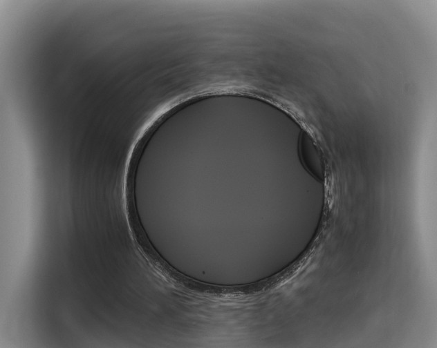 X0000115700196200911191236