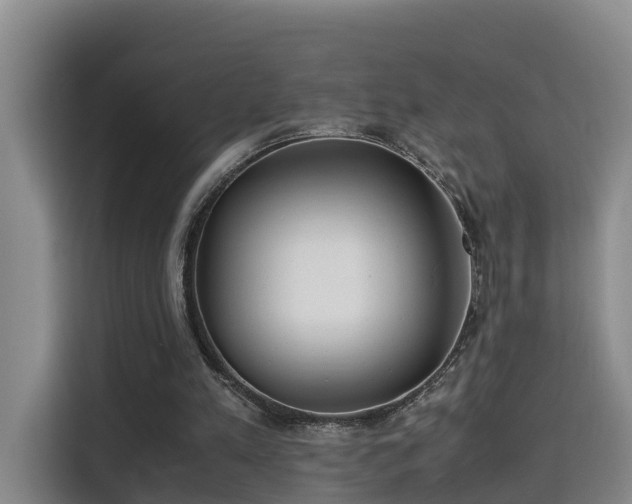 X0000115700197200911191236