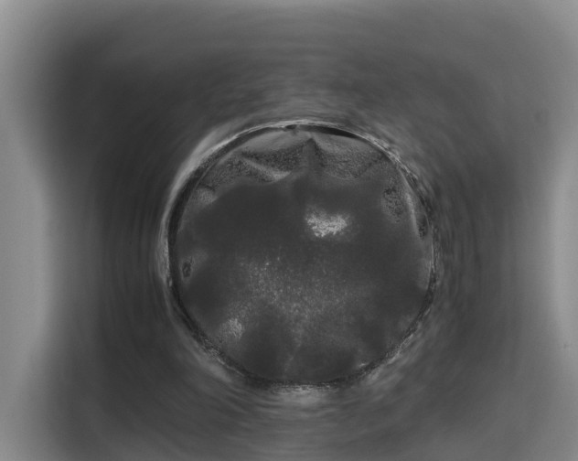 X0000115700198200911191236