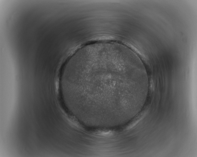 X0000115700206200911191236